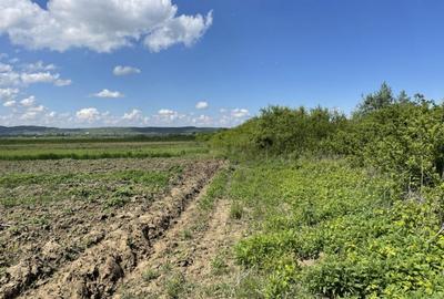 Teren de 7483 mp, în Mogoșești - 2