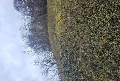 Vand casa si teren - 2