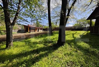 Teren de 2400 mp, în Bucium - 4