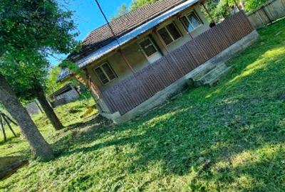 Casă individuală cu 5 camere cu Teren 15000 Mp în Dosu Râului - 1