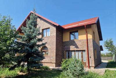 Proprietate deosebita, ocazie de investitie, Cosula, Botosani - 7