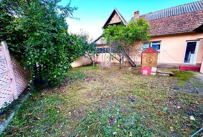 Două case la curte comuna, 700mp teren, Bocșa Montană (Str Reșiței) - 13
