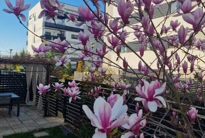 Vanzare 3 camere Natura Residence 167 mp + 2 locuri de parcare - 13