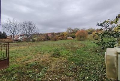 Teren parcelabil, in zona curata si linistita, la 10 minute de Ploiesti - 3