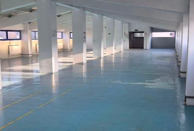 Hală modernă multifuncțională – 1.300 mp –Bucium, Iași- DE ÎNCHIRIAT - 11