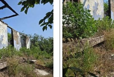 Casă cu 1 camere cu Teren 1200 Mp în Cucuruzu - 1