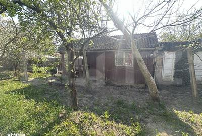 Spațiu comercial, în Bercu Roșu - 5