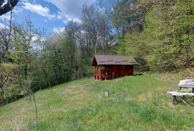 Casa primitoare de inchiriat in Valea Ursului-spa?iu, natu - 1