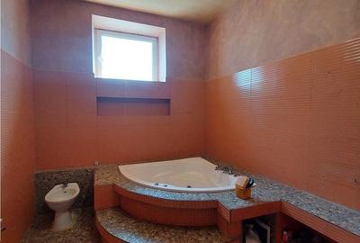 Casă cu 5 camere decomandat cu Teren 2155 Mp în Periam - 18