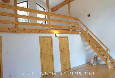 CABANA DE LA MUNTE, UN LOC FERMECATOR - 9