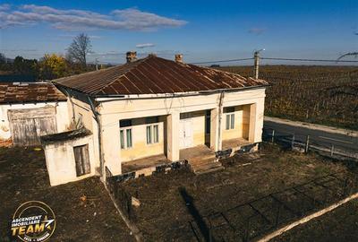 Teren Construcții intravilan de 4000 mp, în Vârteșcoiu - 4