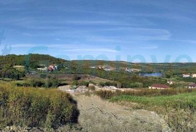 Teren Construcții intravilan de 1050 mp, în Săldăbagiu de Munte - 2