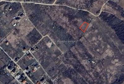 Spațiu comercial, în Paleu - 6