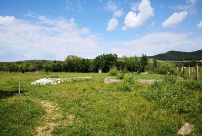 Casă cu 5 camere în Central