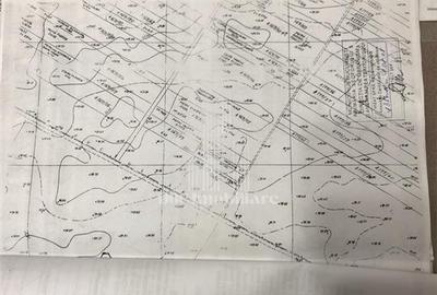 Teren intravilan de 5000 mp, în Sălaj - 5