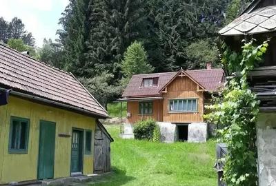 Casă cu Teren 2100 Mp în Răchițele - 4
