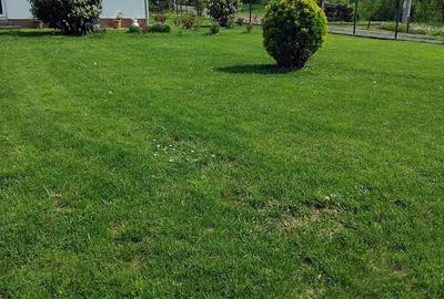 Casă cu 2 camere cu Teren 3500 Mp în Central - 5