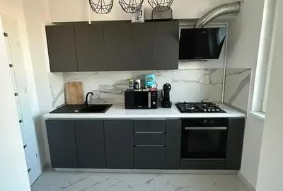 Apartament 3 camere renovat si mobilat lux  Calea Grivitei/Titulescu - 3