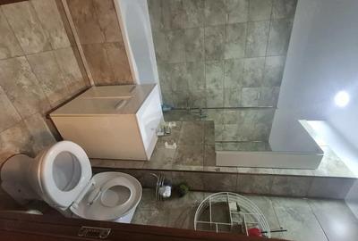 Apartament cu 2 camere decomandat în Teiul Doamnei - 2