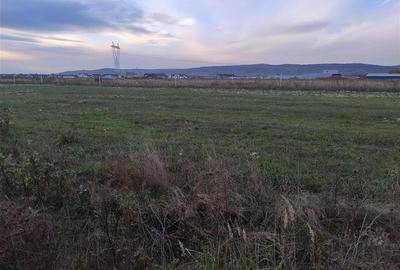 RECO Teren intravilan, Osorhei - 3