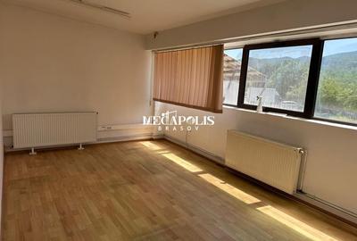 Hala Brintex str.Bazaltului / 5 euro mp - 14