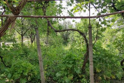 CASA HÂRLĂU + 600 MP teren , vis-a- vis de Peco Petrom ,65000 EURO - 22