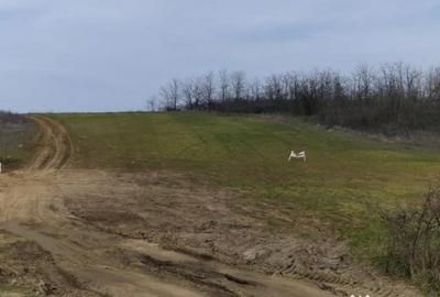 Teren în Șimnicu de Sus