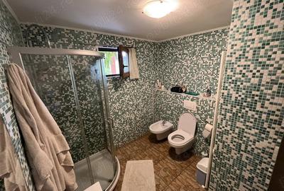 Casa spa?ioasa in Pecica (720 mp teren, la cheie) - 8