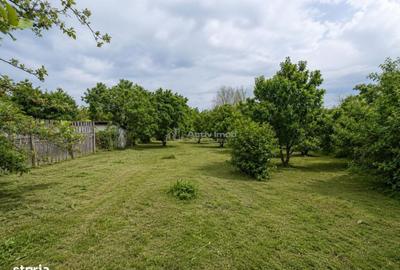 Casă cu 2 camere în Sângătin - 10