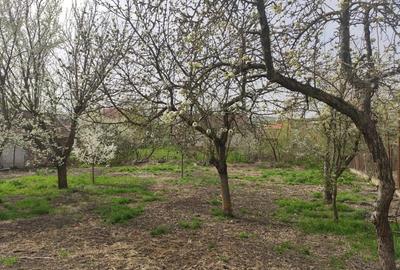 Casă cu 3 camere în Bolduț - 1