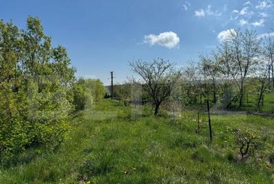 Teren 19000mp , iaz -120mp, Botosanita, Siret - 3