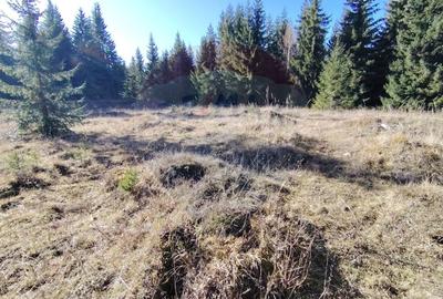 Teren agricol extravilan de 16289 mp, în Coverca - 12