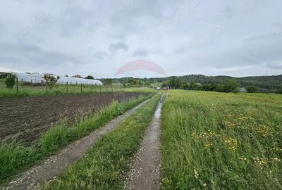 Teren 1,495mp Dobreni / Strada Parau Almas - 20