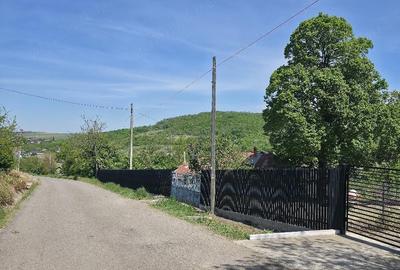 Casă cu Teren 1829 Mp în Erbiceni - 2