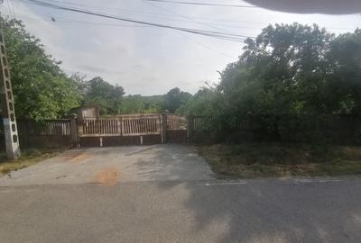 Vlad Tepes sat, jud.Giurgiu - 2