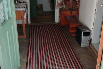 Casa batraneasca 20.000 euro - 10