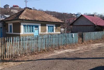 Teren de 800 mp, în Bucium - 4