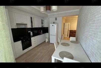 Apartament 2 camere de inchiriat in zona Domenii - 4