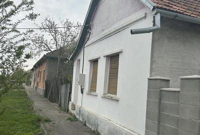 Casă cu Teren 1439 Mp în Bacova - 3