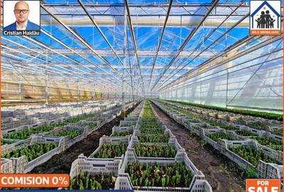 Sere: 10.640mp | Hala: 830mp | Teren 42.000mp | Lehliu-Gara - 2