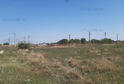 Teren pentru investitie langa Bucuresti - 7