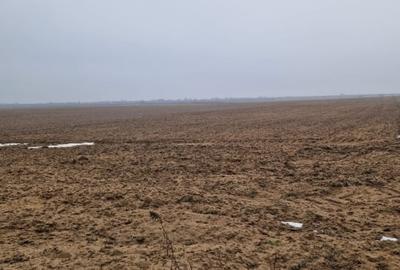 Teren Construcții intravilan de 2500 mp, în Malu Mare - 1