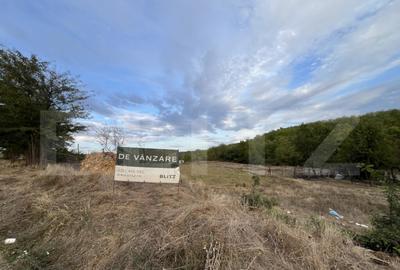 Teren in Filiasi 1000 mp / 30 ml front, toate utilitatile - 7