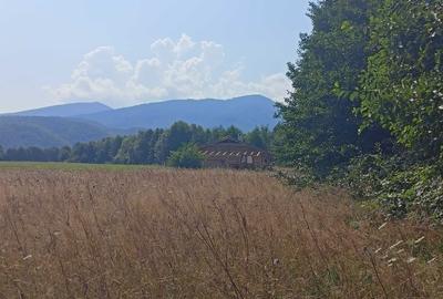 Spațiu comercial, în Sebeș - 1