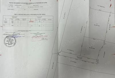 Teren de 3303 mp, în Centură - 2