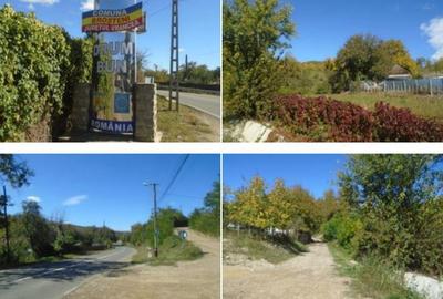 Teren de 1500 mp, în Broșteni - 1