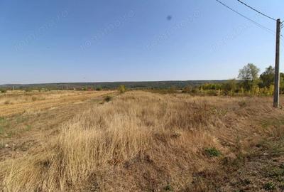 Parcele teren, Benge?ti-Ciocadia - 1