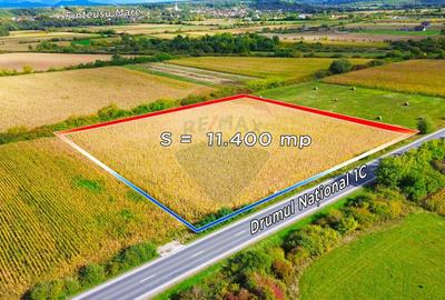 Un lot de teren sau parcela intreaga de Vanzare sau schimb cu AP - 4