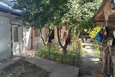 Vand casa - 2