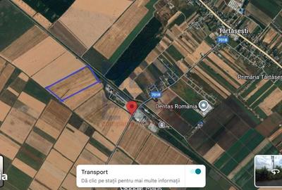 Spațiu comercial, în Ciocănești - 4